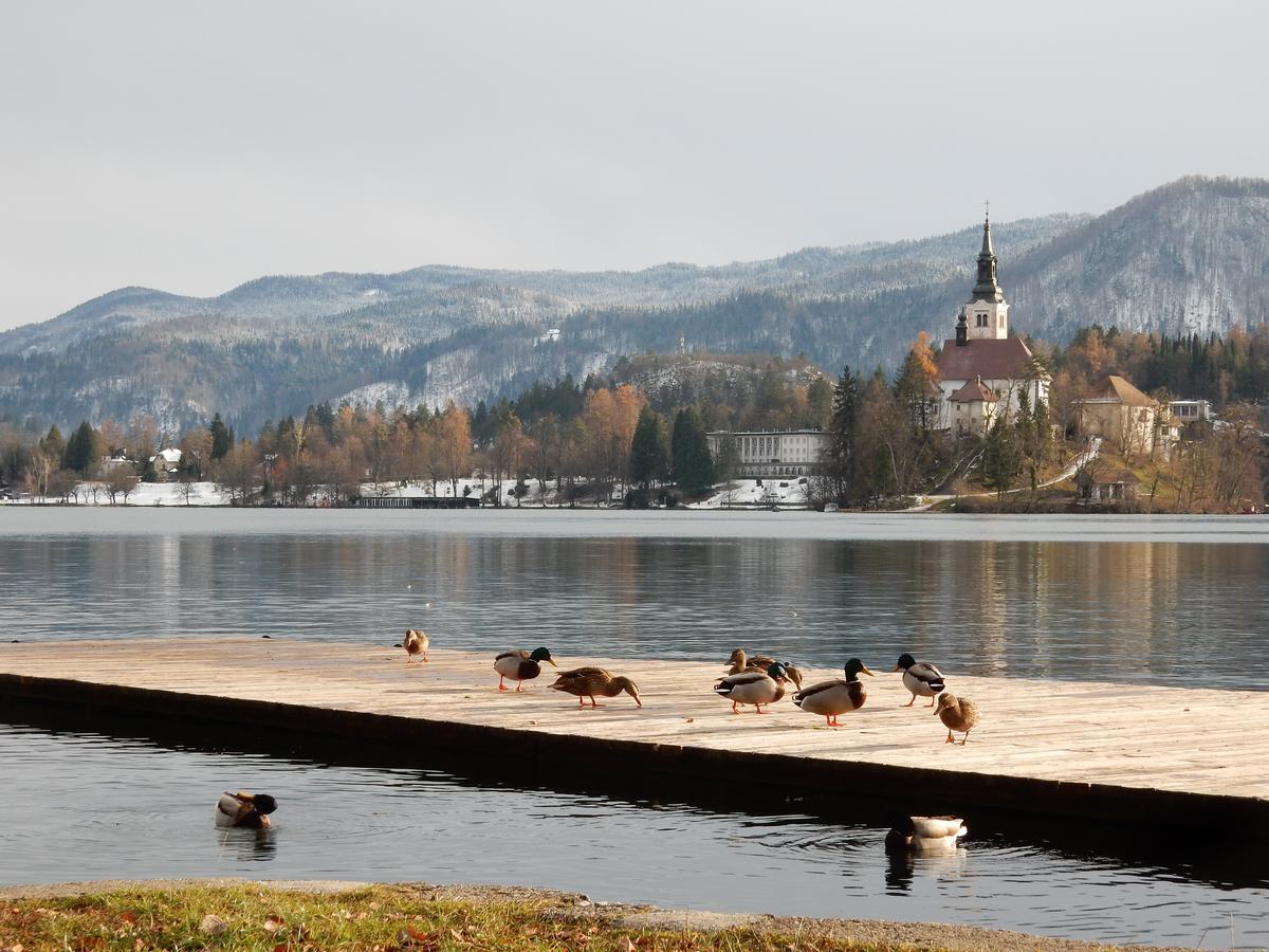 Lake House Sebanc Bled Kültér fotó